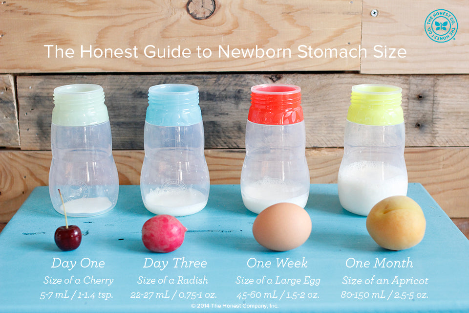 THC-Newborn-Stomach-Guide_FINAL