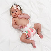 Diapers, Overnights & Training Pants Image