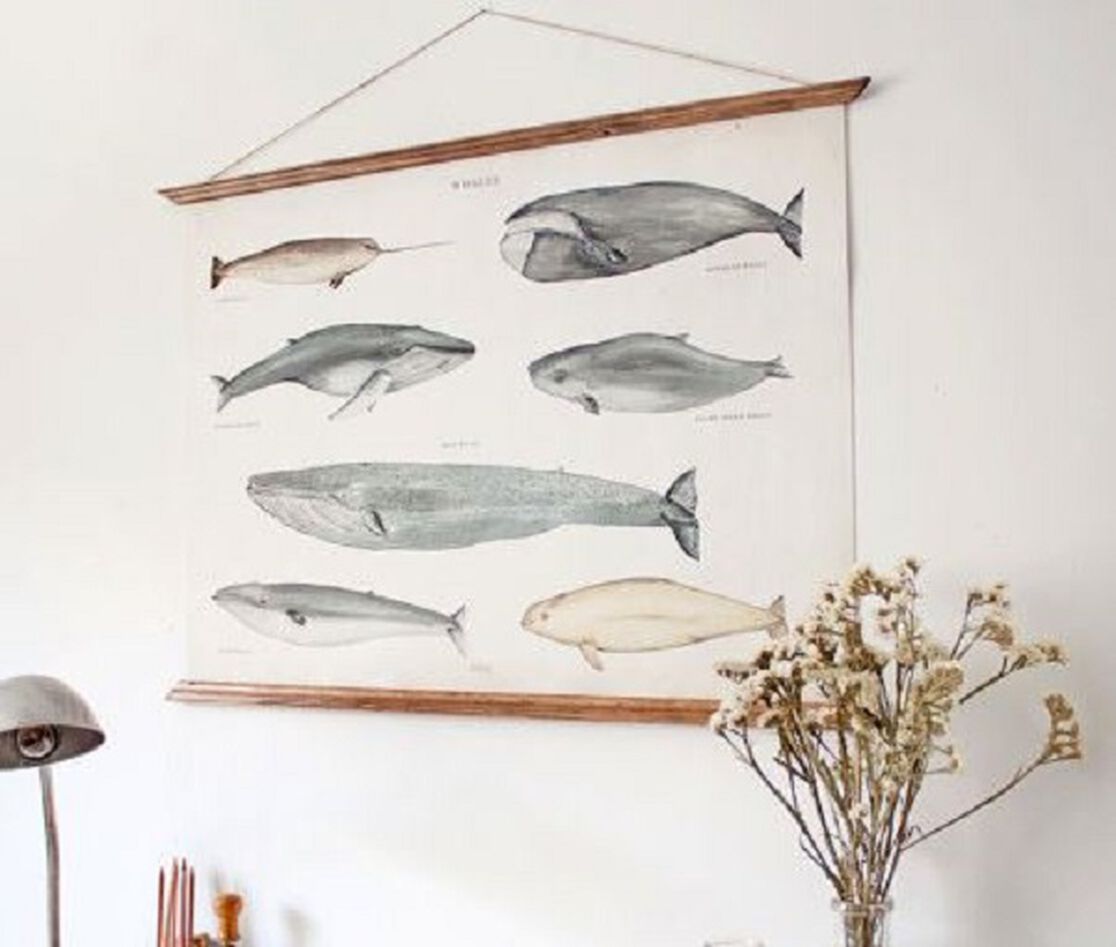 Friday Finds: Vintage-Inspired Whale Wall Art