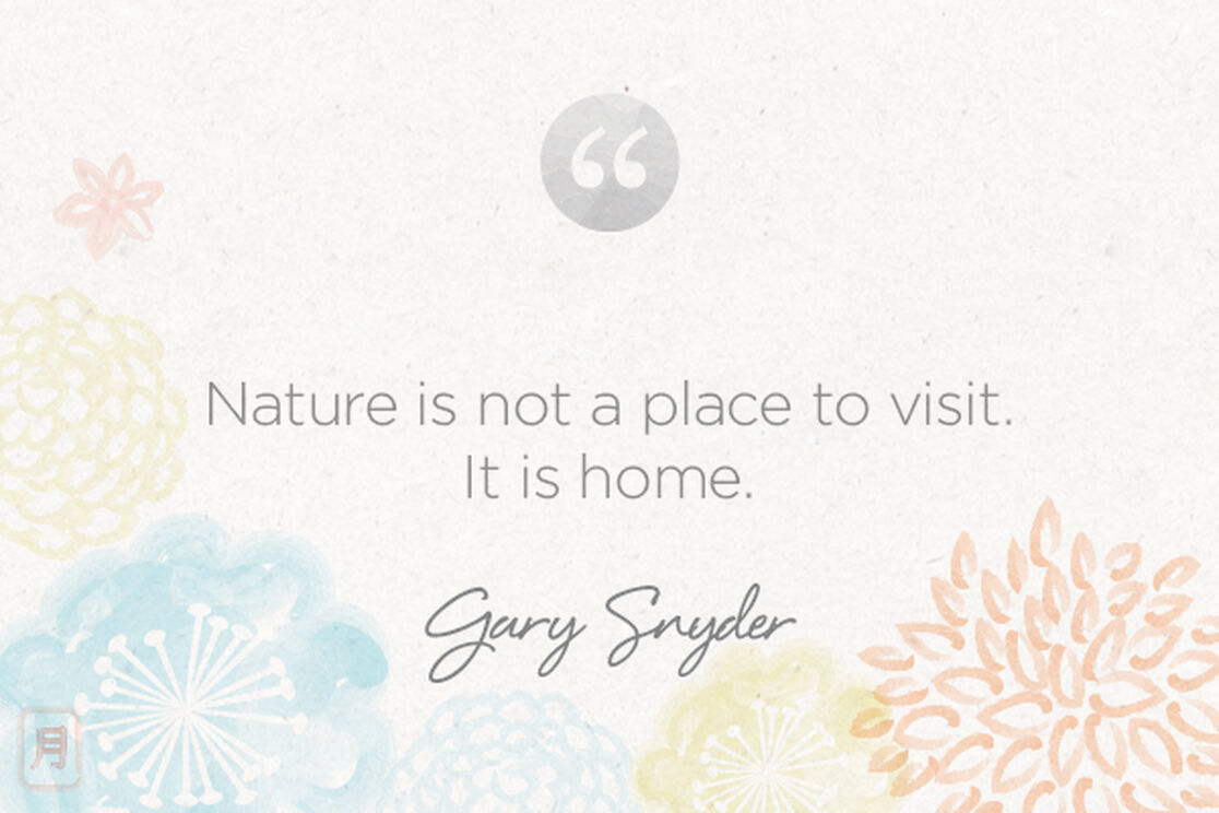 Monday Meditation: Snyder on Nature