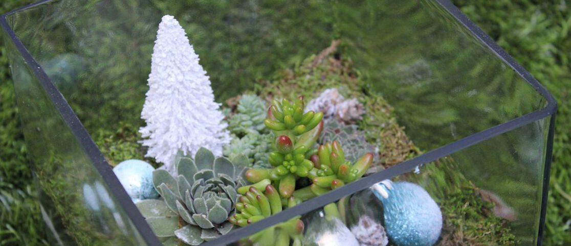The Terrarium: Easy & Elegant Holiday Décor