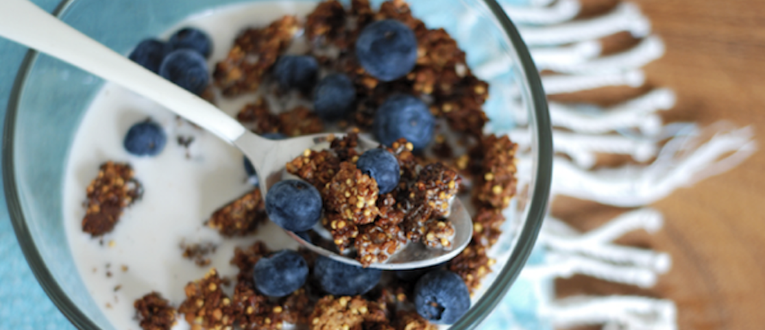 Juli's Fancy (Oven-Baked) Sprouted Granola