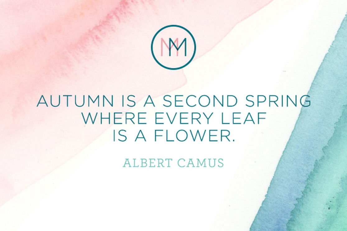 Monday Meditation: On Autumn's Natural Wonder