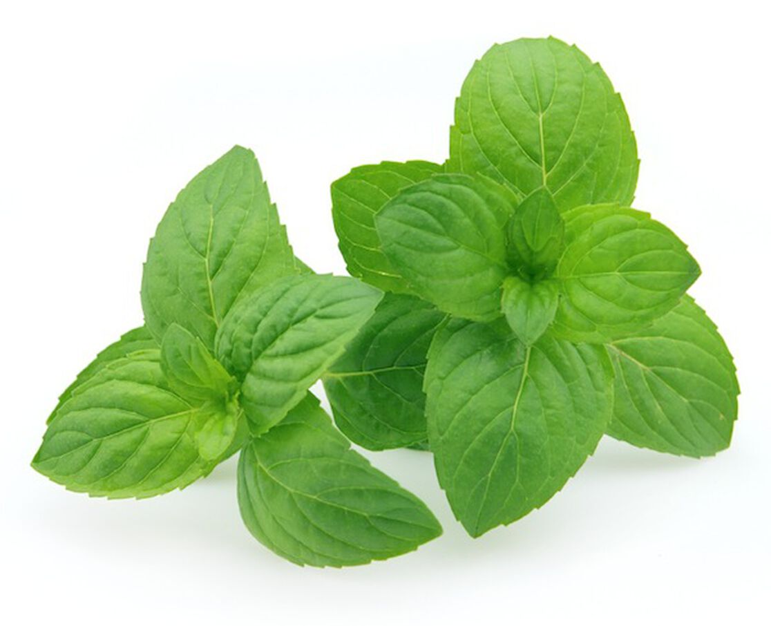 December's Superfood: Mint