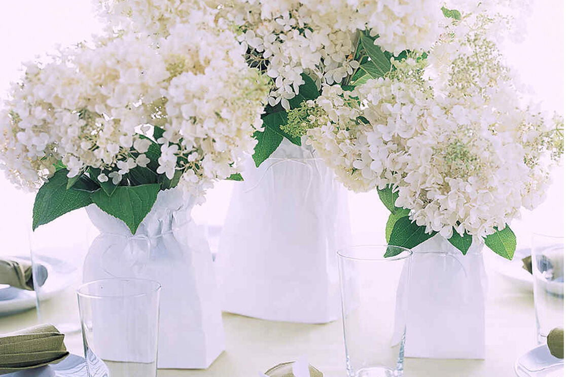 Your Labor Day Party Plan