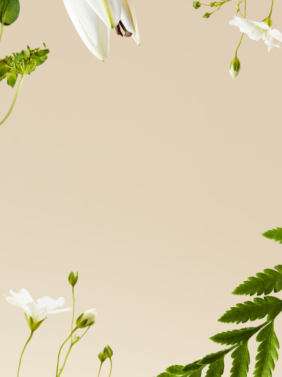 Beige background with white flowers and green leaves