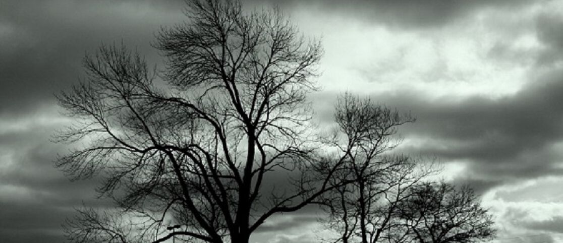 3 Tips to Beat the Winter Blues