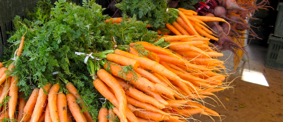 Your Guide to Choosing the Best Fall Produce