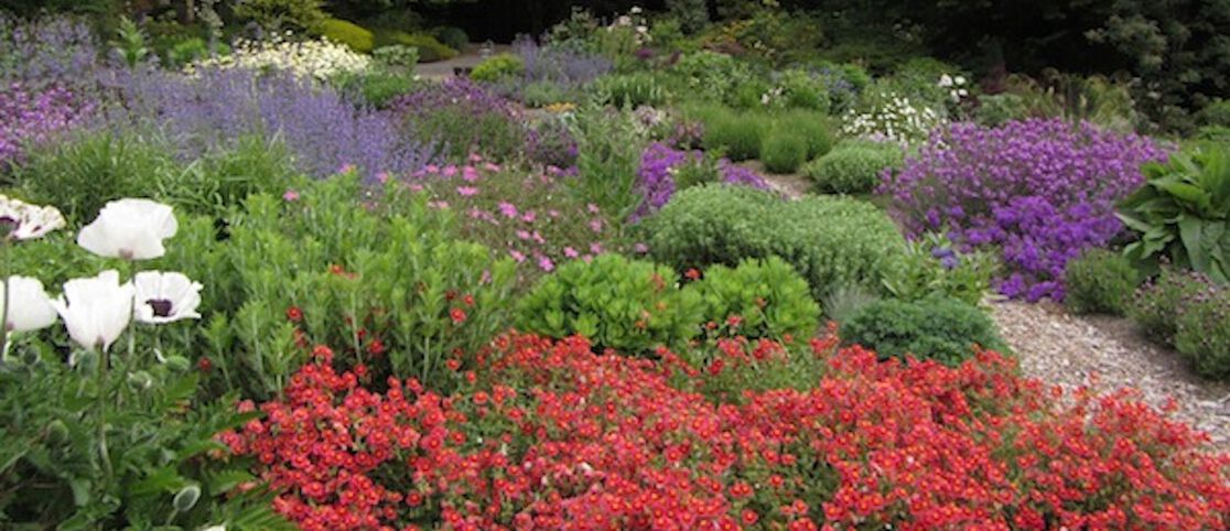 Natural Allergy Solutions