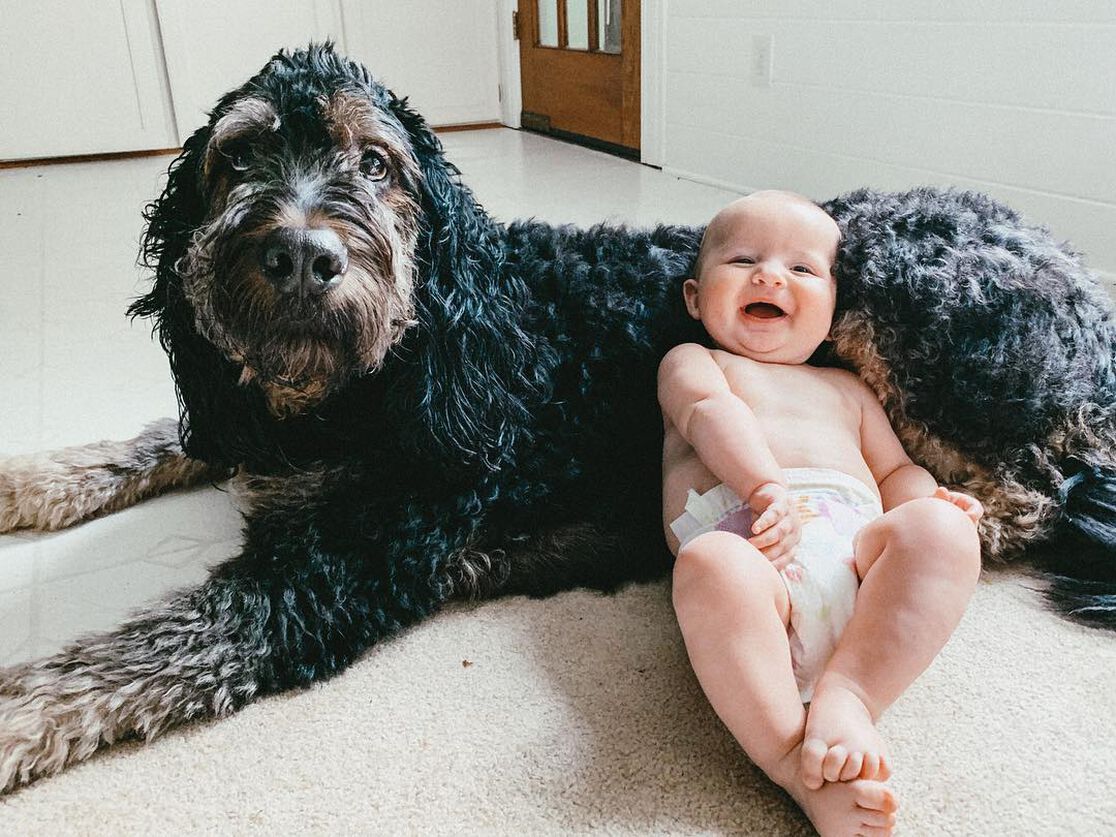 Thank u @josilynthompson