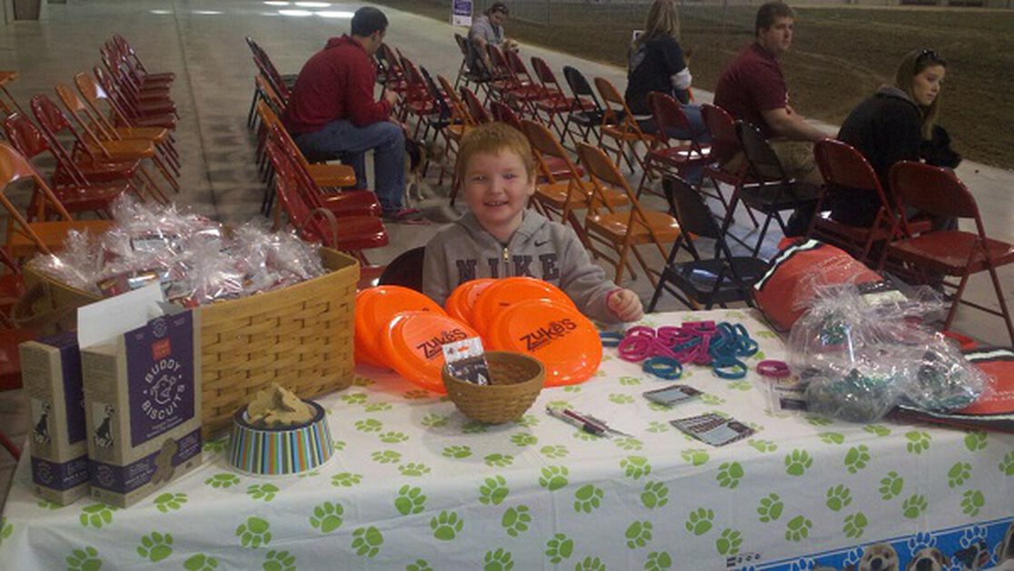 Honest Helping Hands: Stevie's Furry Friends