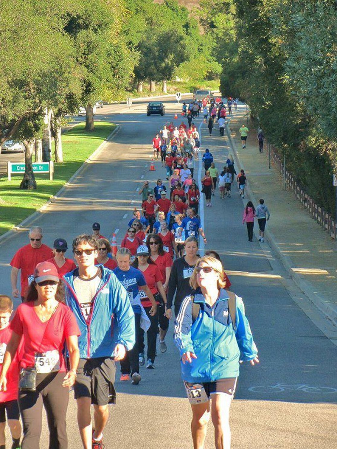 Honest Helping Hands: Shred Kids' Cancer