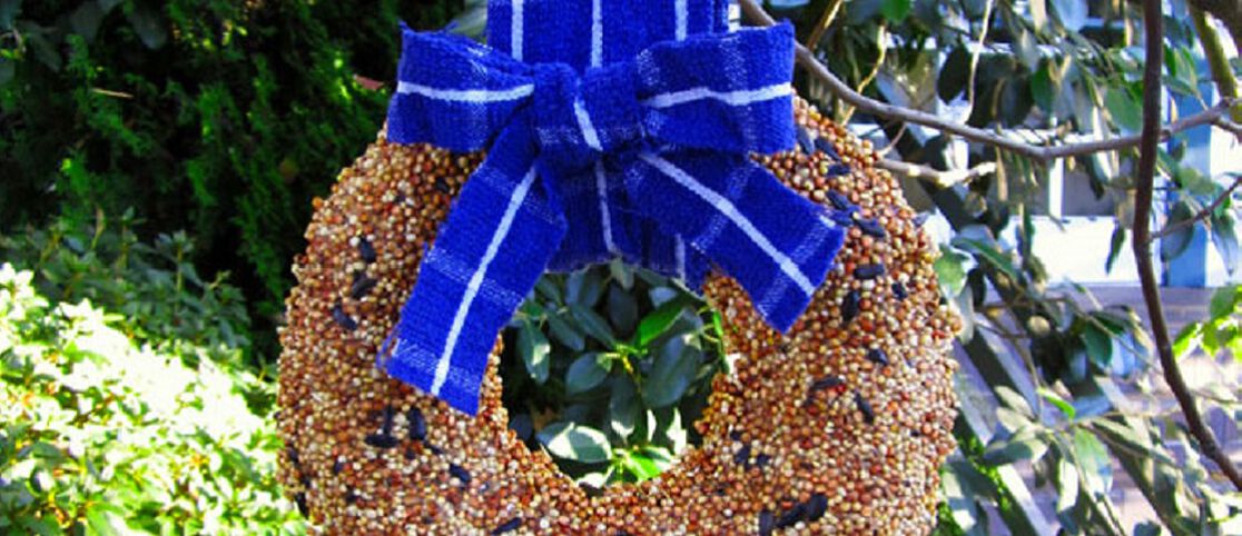 Simple and Festive Bird Feeder Wreath Makes a Great Gift
