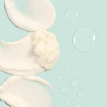Natural Baby And Beauty Company The Honest Company Natural Baby And Beauty Company The Honest Company