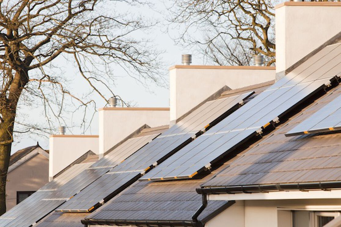 World Wildlife Fund Answers Honest Questions About Conservation