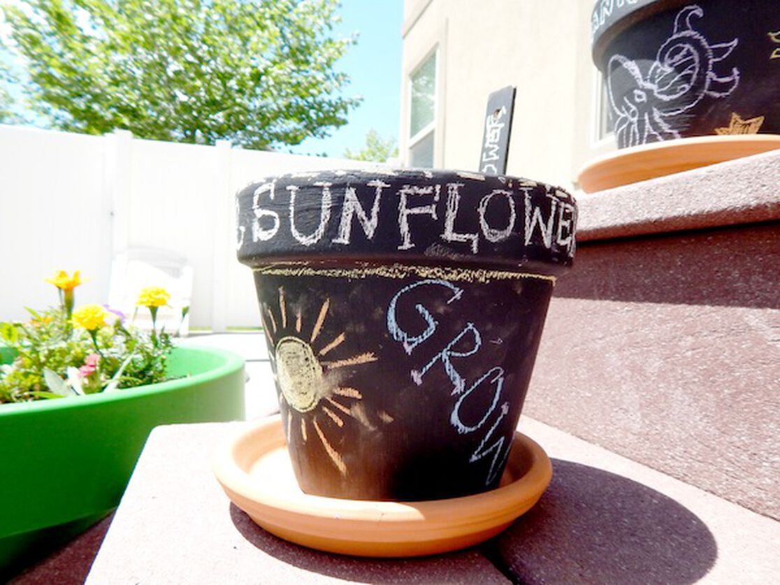 Paint & Plant Garden: A DIY Your Kids Will Dig