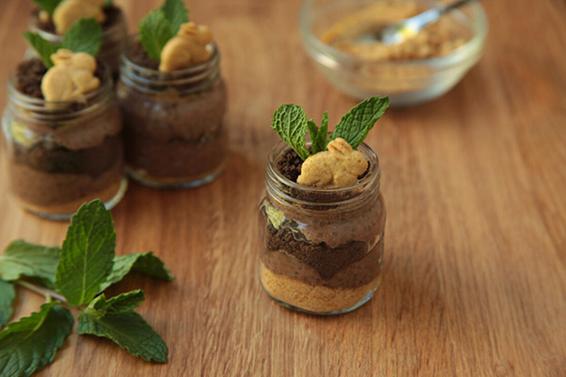 Sustainable Snacking: Chocolate Chia Seed Pudding for Earth Day