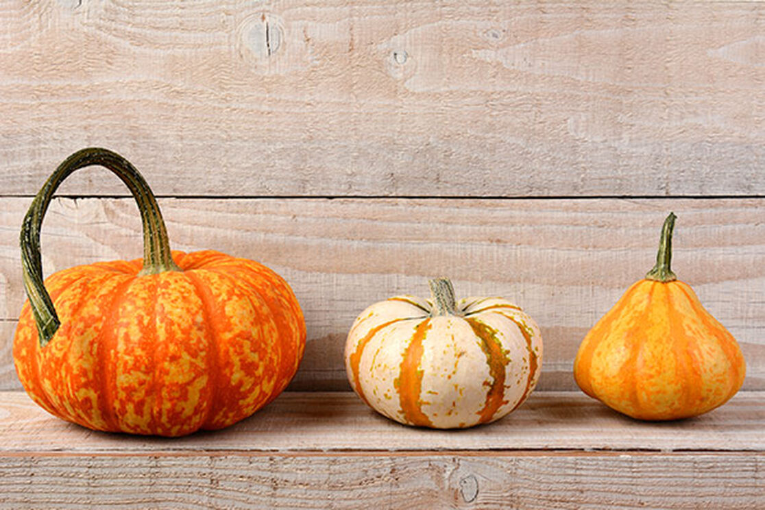 Zero-Waste Pumpkin: 5 Fresh Ways to Use this Fall Favorite