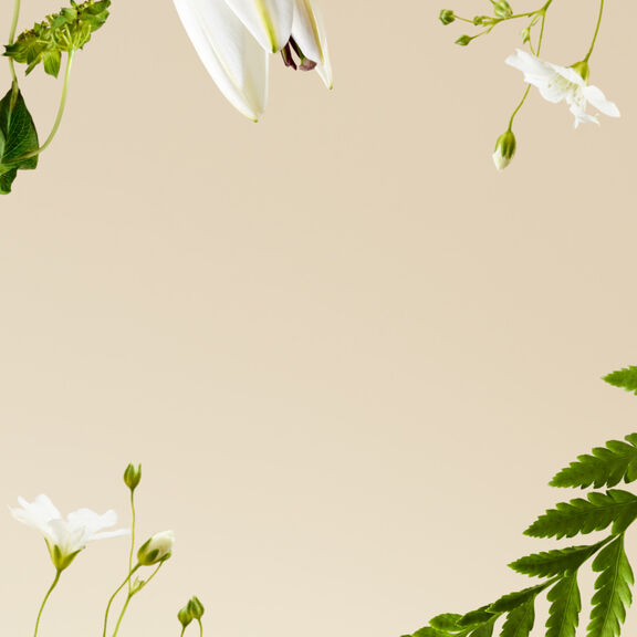 Beige background with white flowers and green leaves