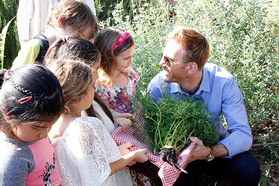 Honest to Goodness: Off to a Healthy Start