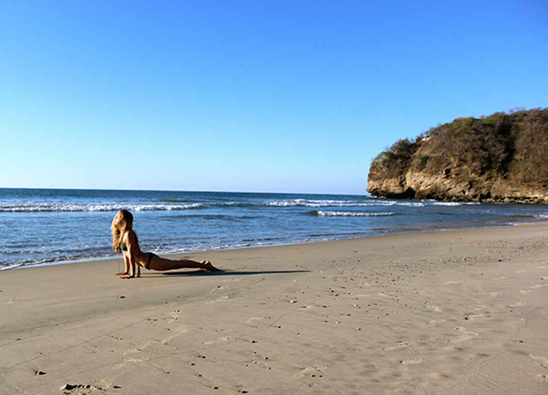 Pause & Pose: Vinyasa Flow