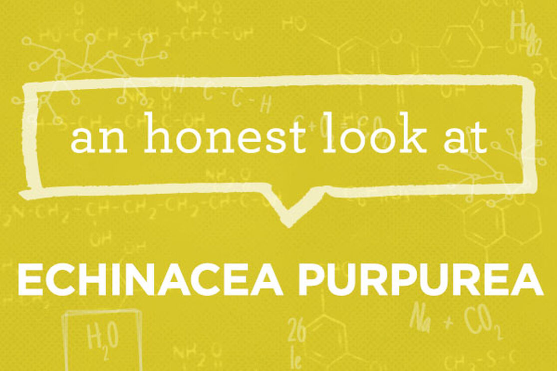 What is Organic Echinacea Purpurea (Whole Plant) Powder Extract?