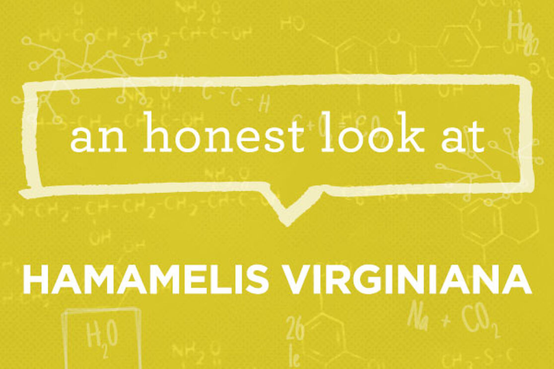 What is Hamamelis Virginiana?