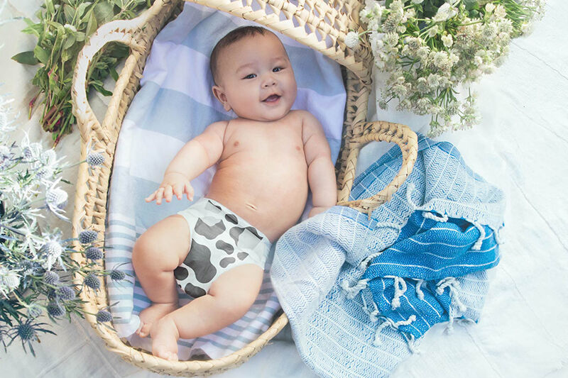 Honest cow discount print diapers