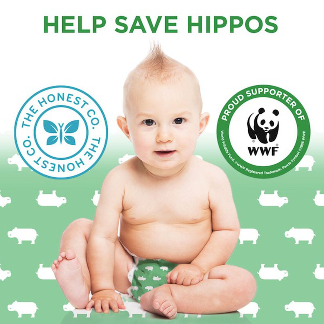 Safeguard and Celebrate the Planet with Honest & World Wildlife Fund