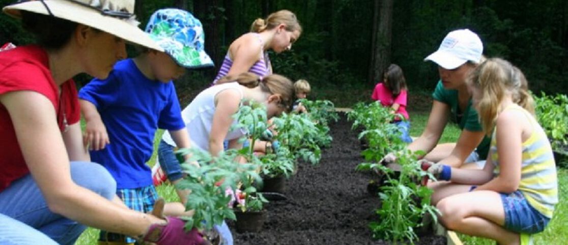 Honest Helping Hands: Katie's Krops