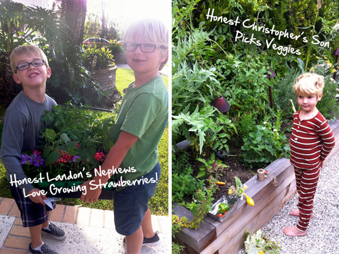 Create An Edible Container Garden With Kids