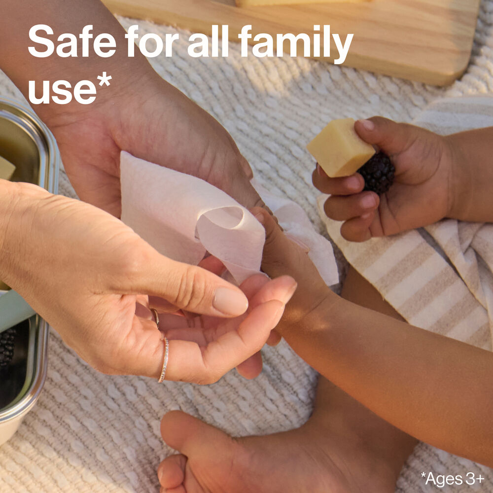 Sanitizing Alcohol Wipes, 50 Count, Grapefruit Grove