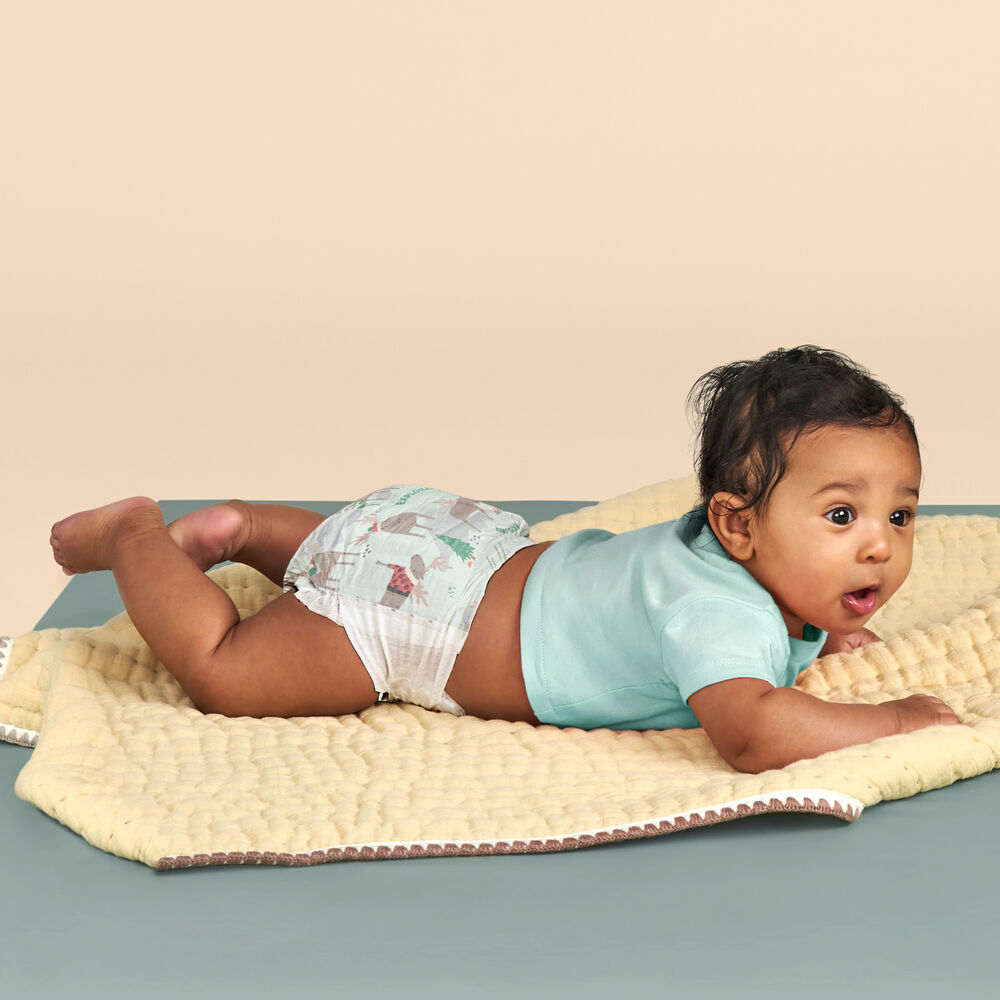 Honest Diapers