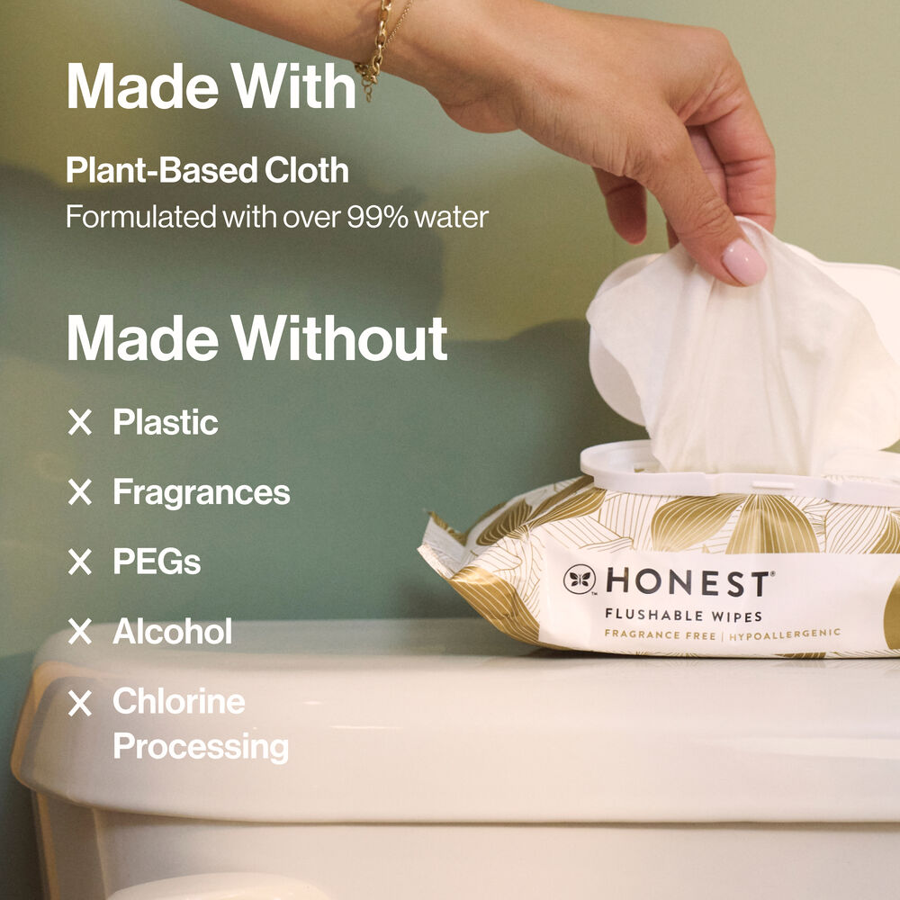 Flushable Wipes, Gilded Wings, 42 Count
