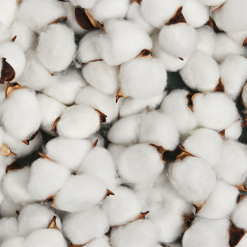 Cotton Balls, Cotton Balls, Large, 1000 per bag, 2 bags per case