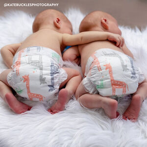 Honest Diapers