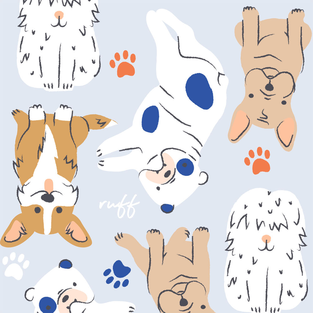 Clean Conscious Diaper, It's A Paw-ty, Size 5