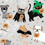 costume-pawty