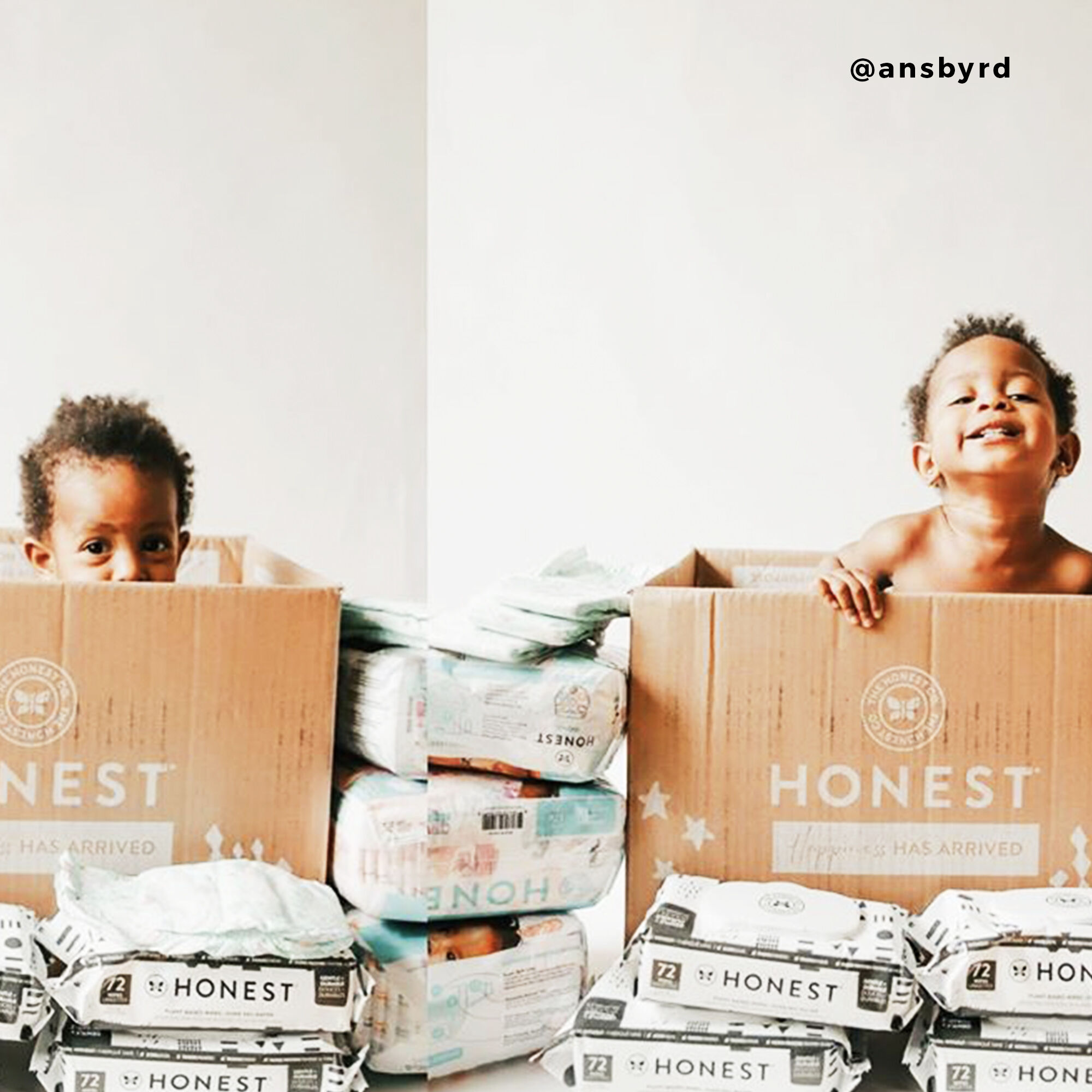 honest dry wipes