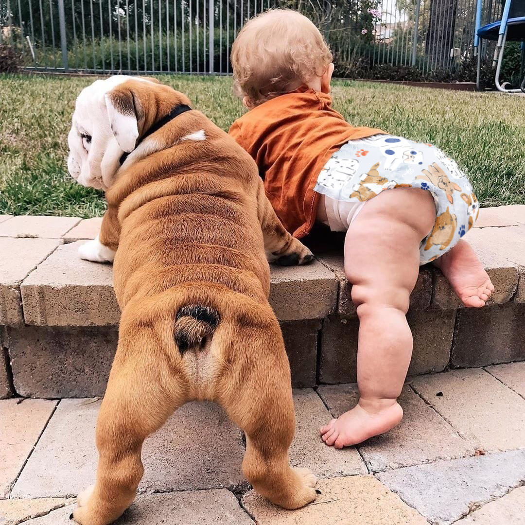 honest diapers near me