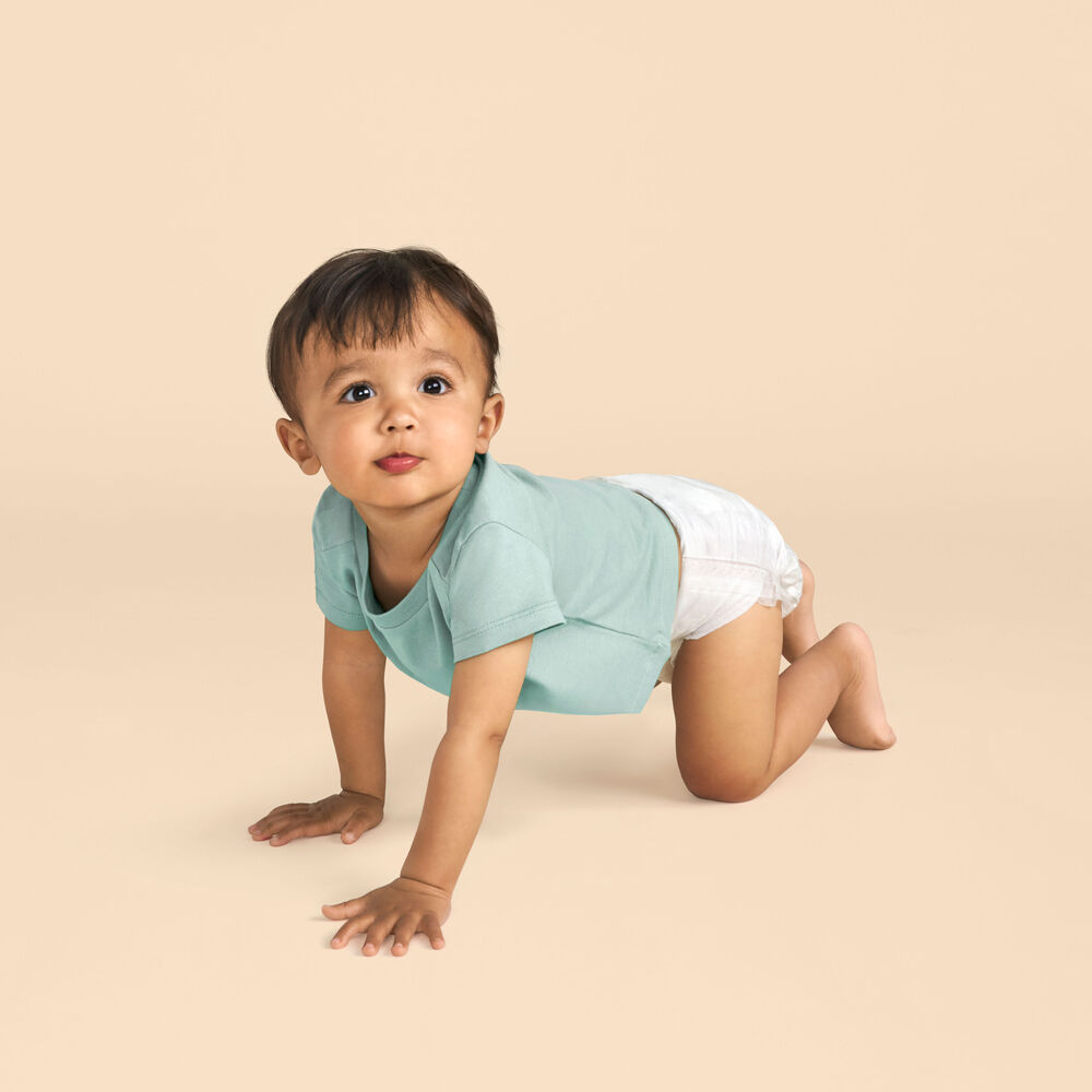 Honest Clean Conscious Diaper®, White, Size 6