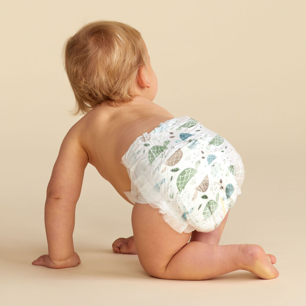 Clean Conscious Diaper, Turtle Time, Size 2
