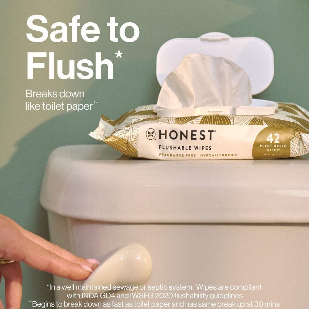Flushable Wipes, Gilded Wings, 42 Count