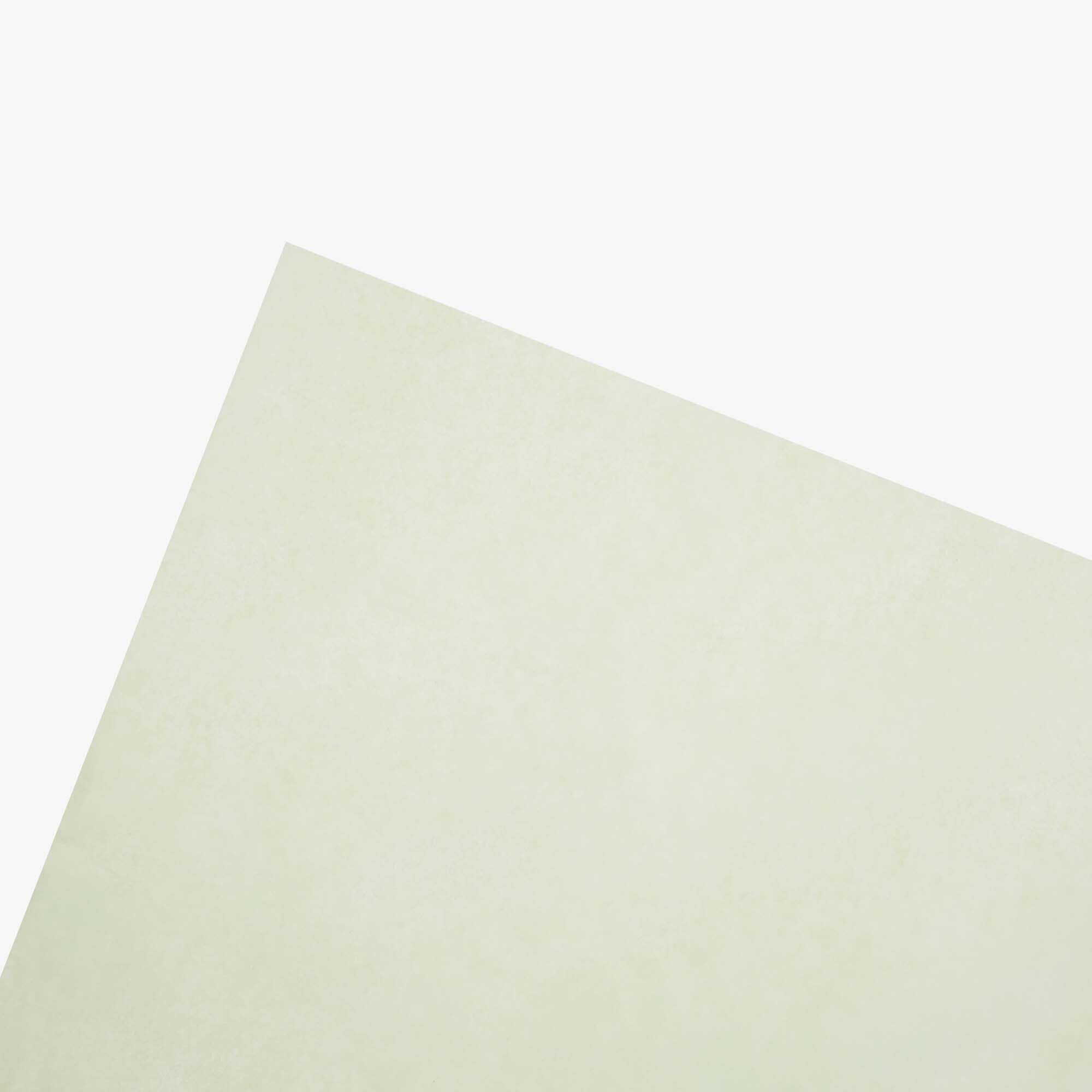 Tissue Paper
