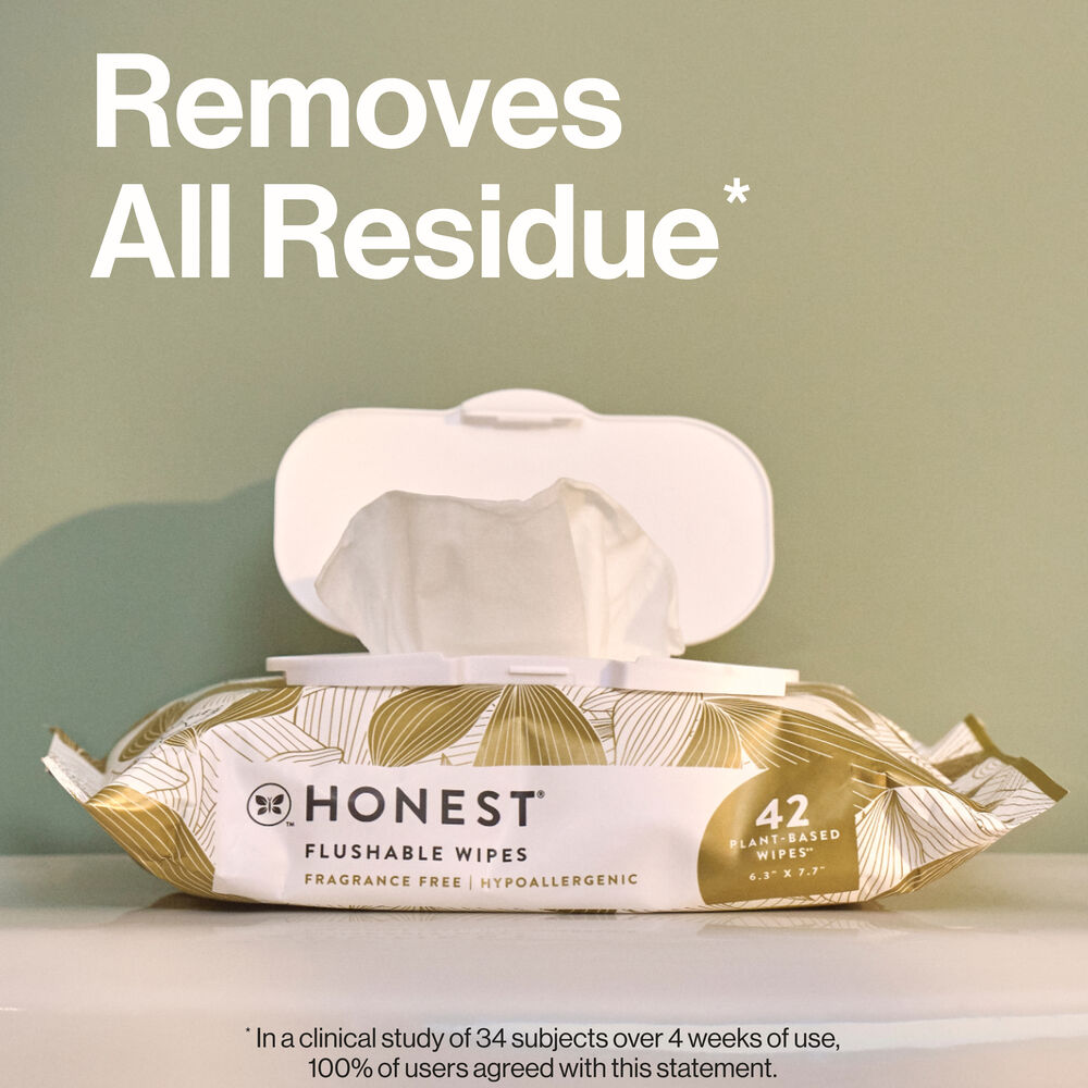Flushable Wipes, Gilded Wings, 42 Count
