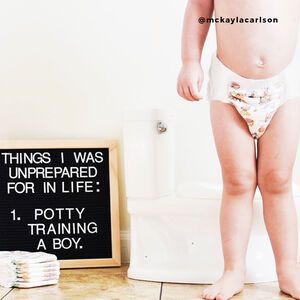 The Honest Company Training Pants - Animal ABCs - Momease Baby