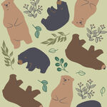 un-bear-ably-cute