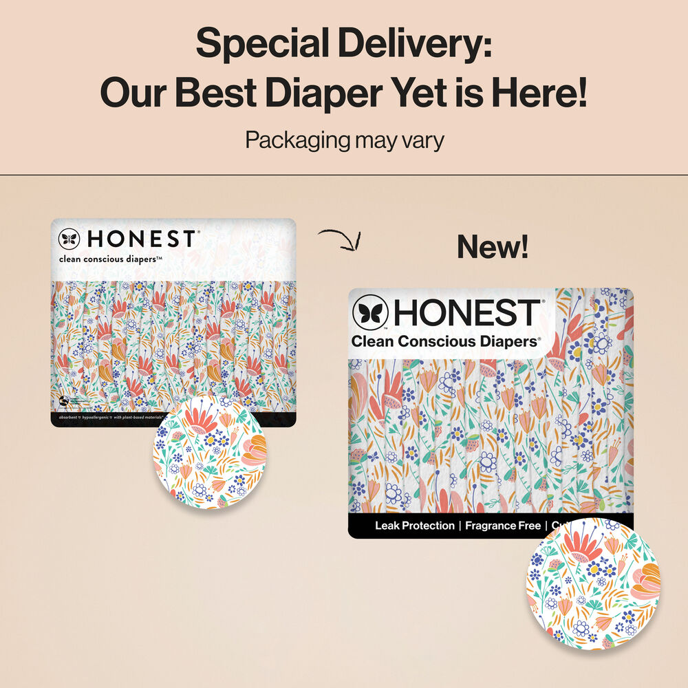 Honest Clean Conscious Diaper Box, Wild Thang + Flower Power, Size 4