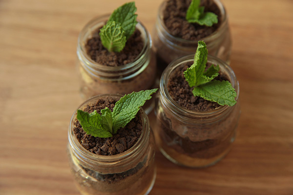 Sustainable Snacking: Chocolate Chia Seed Pudding for Earth Day