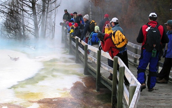 Geyser Viewing at Yellowstone